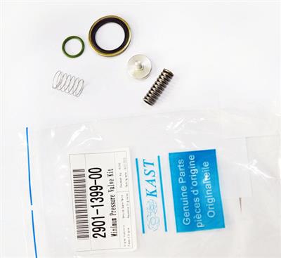 2901139900 minimum pressure valve kit