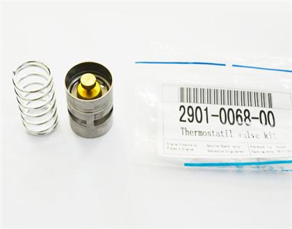 thermostat valve kit2901006800B
