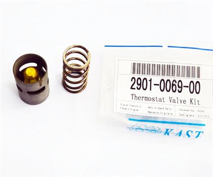 thermostat valve kit2901006900