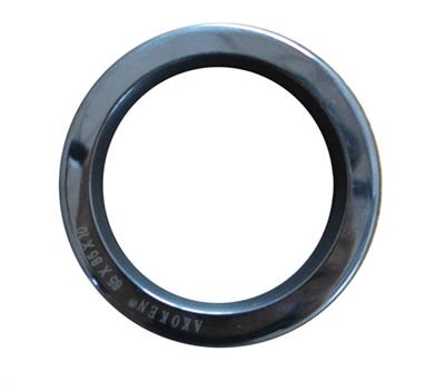 oil seal1