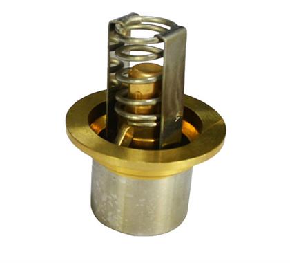 thermostat valve6